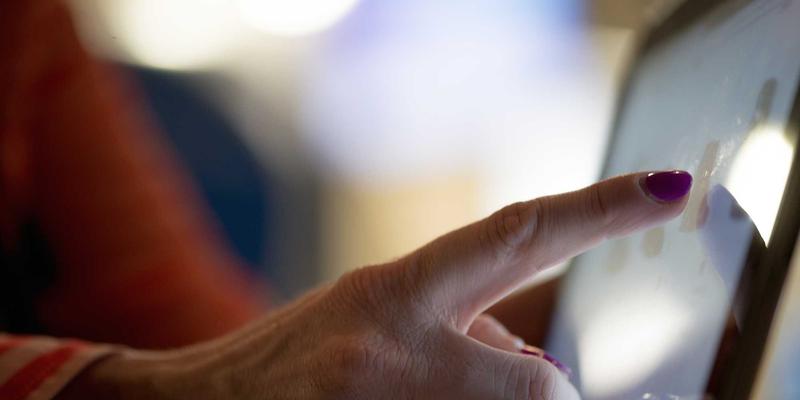 中山园林绿化24：匠心打造庭院设计、园林设计与景观工程的艺术融合