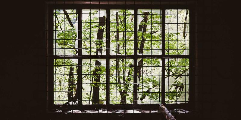 中山园林绿化37:新华夏园景观工程的绿化施工实践与创新