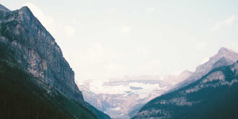 中山园林绿化53载匠心传承：新华夏园的园林设计与园艺养护之道