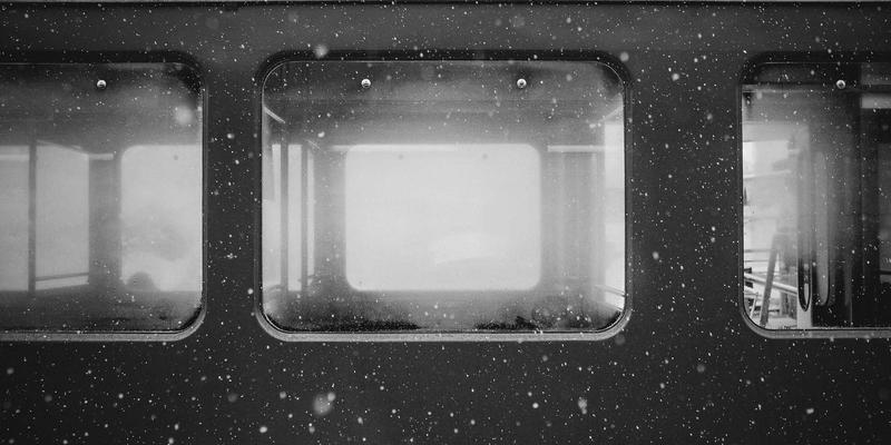 中山园林绿化76：专业打造城市生态空间的三大核心要素