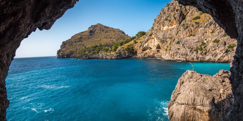 中山园林绿化77：景观工程与园艺养护的卓越实践