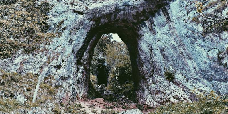 中山园林绿化89:专业景观工程与园艺养护的完美融合