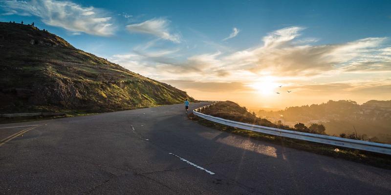 中山园林绿化96：匠心打造城市生态景观，专业园艺养护与景观工程全解析