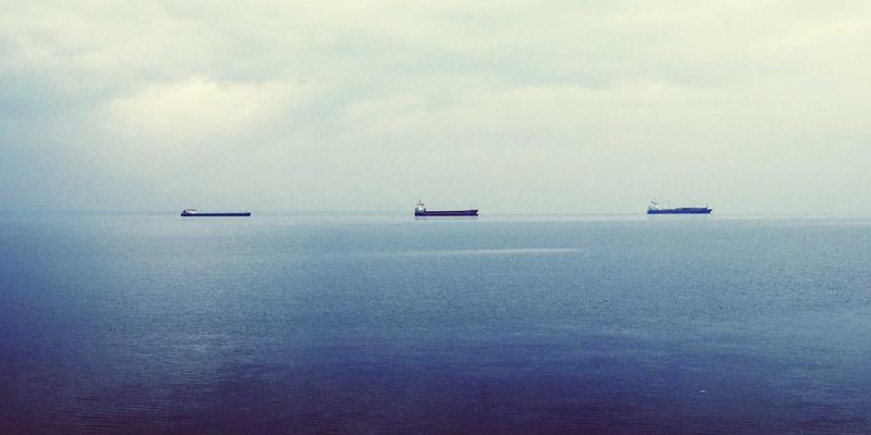 中山园林绿化与庭院设计中的土壤改良：地力可持续提升核心技术解析