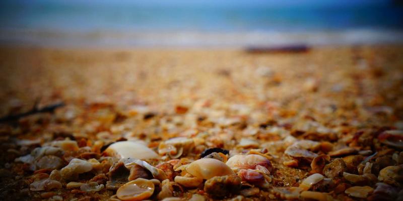 中山园林绿化：以新华夏园为例，探索现代园林设计的传承与创新