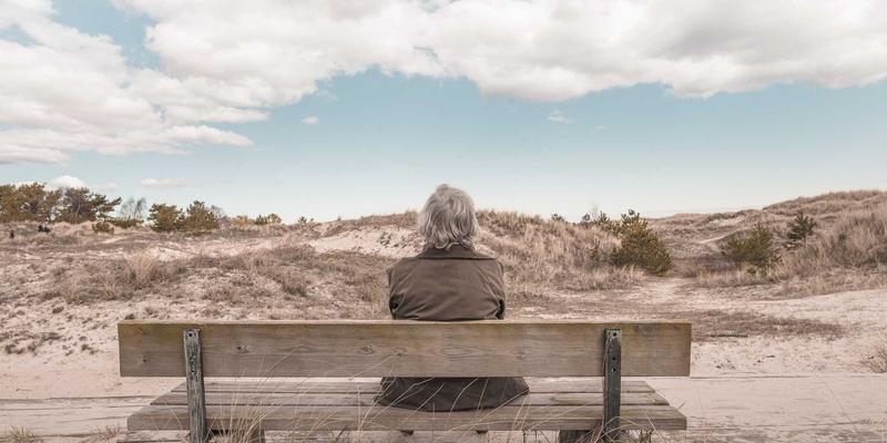 中山园林绿化优势解析：新华夏园如何以专业设计养护打造生态美学