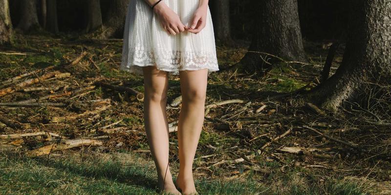 中山园林绿化发展：从绿化施工到景观工程的生态美学实践