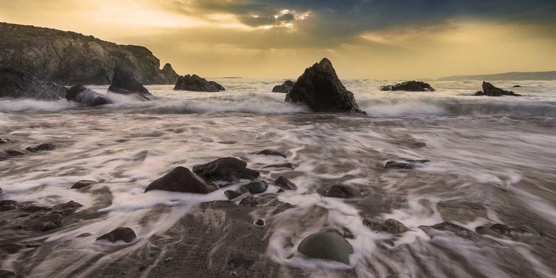 中山园林绿化工程公司哪家好？掌握这5点轻松选择靠谱服务商