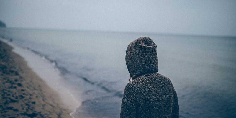 中山园林绿化常用乔木灌木品种推荐及养护技巧 | 景观工程与园艺养护指南