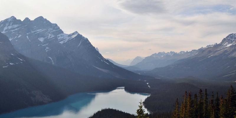 中山园林绿化废弃物资源化利用：从庭院设计到新华夏园的本地化处理路径