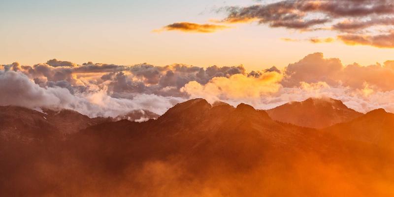 中山园林绿化新标杆:新华夏园绿化施工理念深度解析