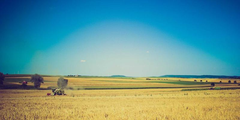 中山园林绿化最佳实践:从园艺养护到绿化施工的全面指南