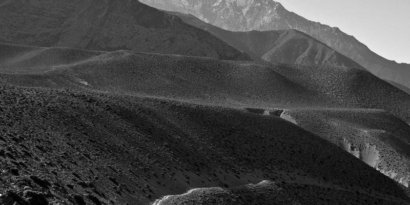 中山园林绿化:融合庭院设计与绿化施工的艺术实践