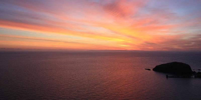 中山岐江河畔景观生态修复与游憩设计：园林设计、园艺养护与绿化施工的融合实践