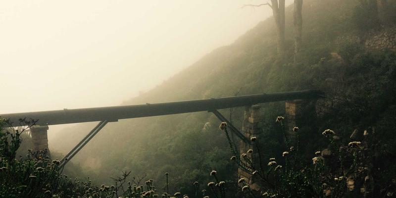 中山市市政园林绿化项目招标全解析：从景观工程设计到施工落地的标准与流程