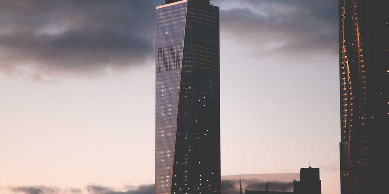 中山市景观工程新标杆：行道树科学选择、配置与园艺养护全攻略