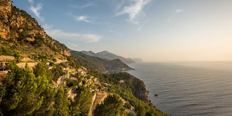 中山市道路绿化带降噪除尘功能研究与植物优选方案 | 园艺养护与景观工程实践