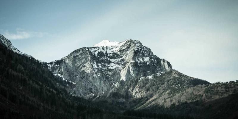 中山市高架桥柱垂直绿化自动灌溉系统设计与维护成本分析