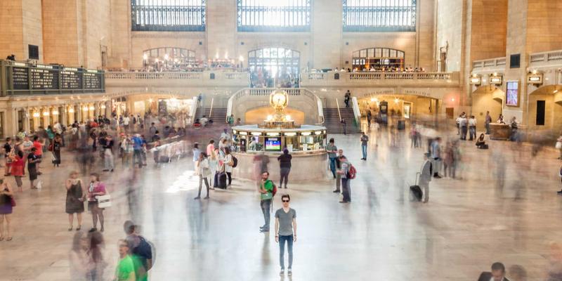 中山校园绿化景观：从绿化施工到园艺养护的生态学习空间营造策略