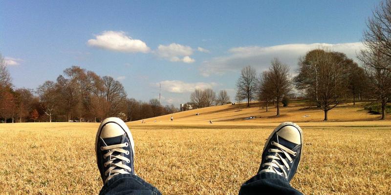 中山海岸带绿化新思路：耐盐碱园林植物筛选与园艺养护关键技术