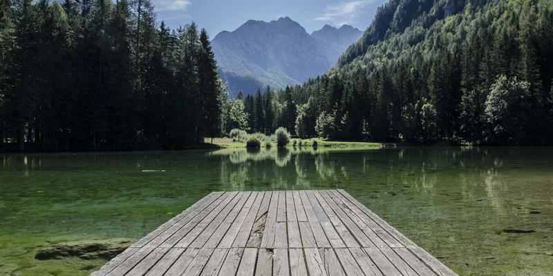 中山特色花境设计与四季植物配置：新华夏园景观工程的庭院美学