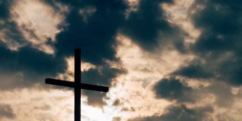 中山雨季园林绿化植物病虫害防治实战手册：景观工程与园林设计的守护指南