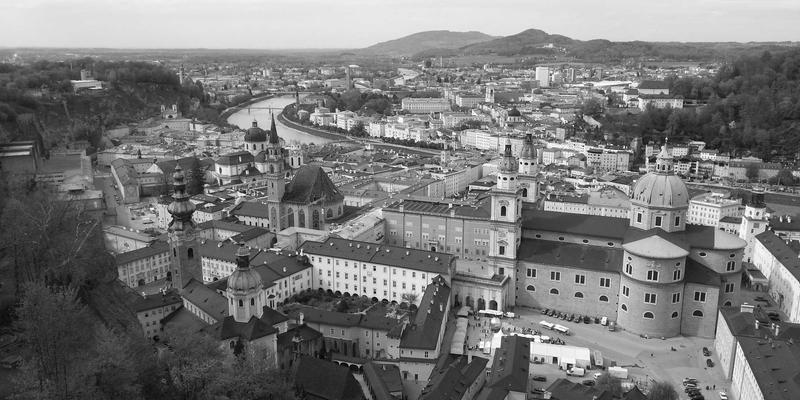 从废弃到宝藏：中山市绿化废弃物资源化处理如何重塑园艺养护与景观工程新生态