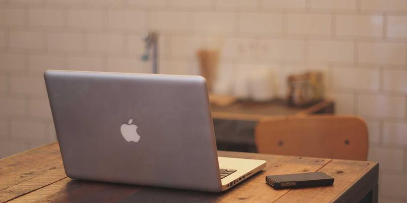 从庭院设计到城市景观工程：中山市道路绿化隔离带的降噪除尘功能与植物配置优化策略