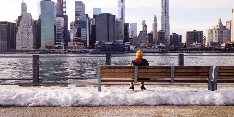 守护城市活文物：中山市古树名木保护与复壮技术在园林绿化施工中的实践