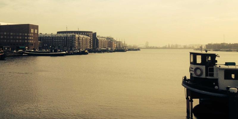 守护绿意：中山园林绿化与庭院设计中的有害生物绿色防控（IPM）策略