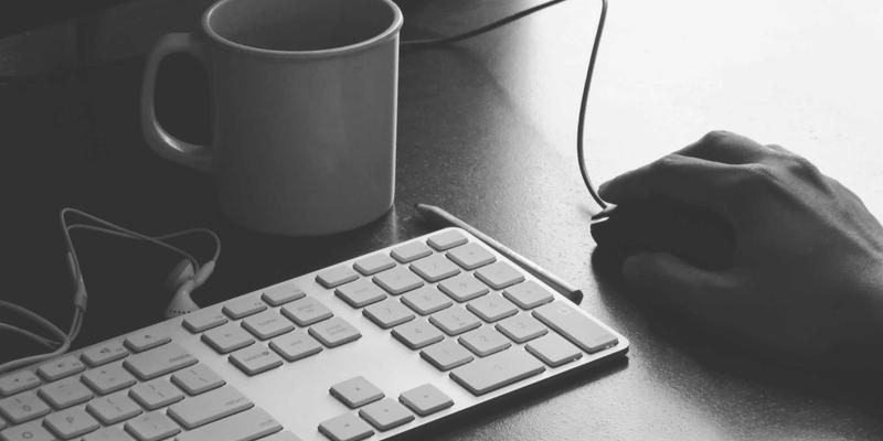 庭院设计与绿化施工新思路：中山市乡土植物在园林绿化中的选育与应用价值探析