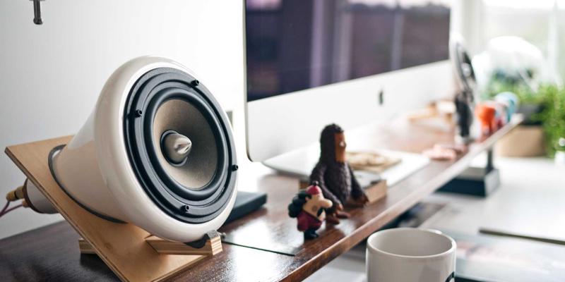 提升碳汇能力，助力碳中和：中山园林绿化工程的评估与优化策略