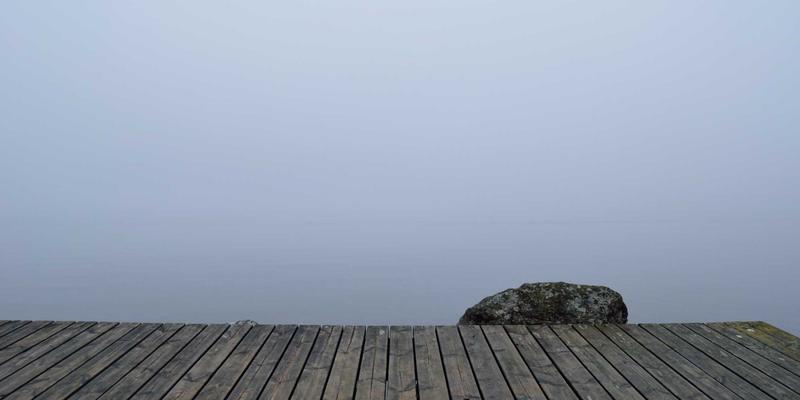 新华夏园专业指南：中山市立体绿化与垂直花园施工全解析，从庭院设计到园艺养护