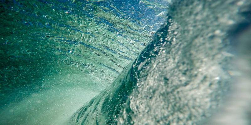 新华夏园启示录：中山社区花园共建模式与公众参与绿化治理的创新路径