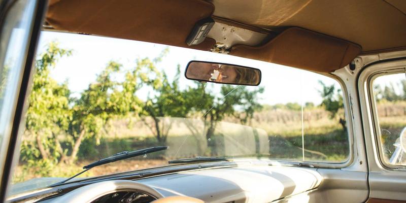 新华夏园的园艺养护智慧：乡土植物在中山园林绿化中的选育与景观价值开发