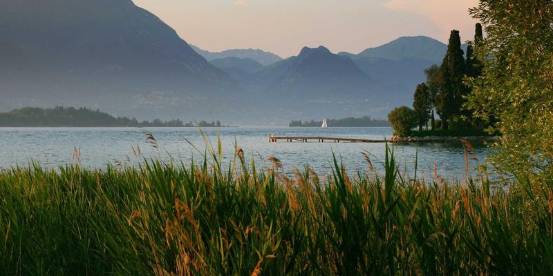 新华夏园视角下的中山老旧小区微更新：社区花园营造策略与庭院设计实践