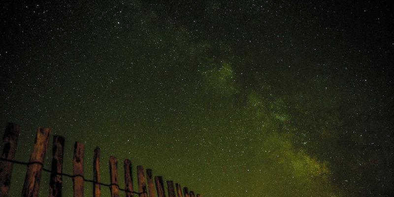 景观工程新趋势：中山乡土植物在新华夏园与庭院设计中的生态应用