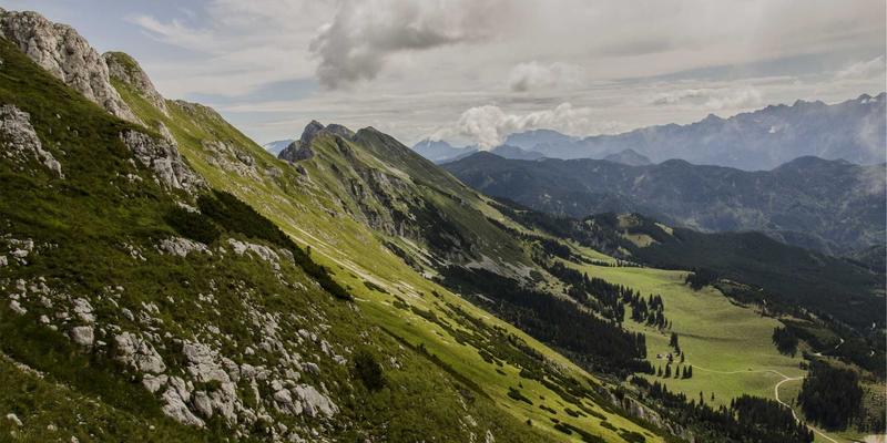 智慧园林管理系统在中山市公共绿地的创新实践与综合效益分析